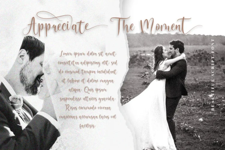 Camelluna Font