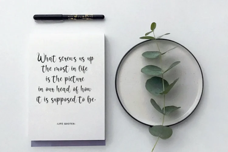 Camelluna Font