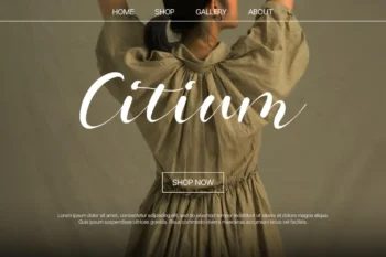 Hollyna Font