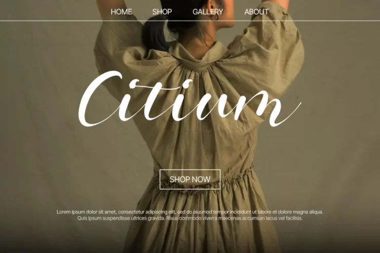 Hollyna Font