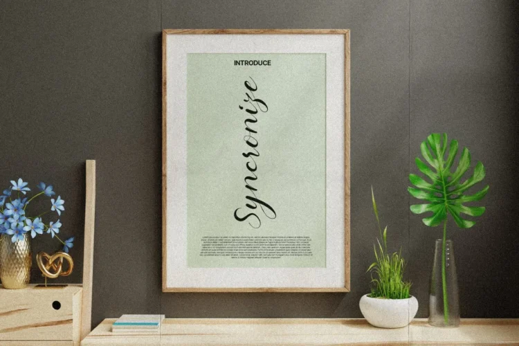Hollyna Font