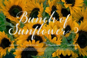 Yellow Molly Font