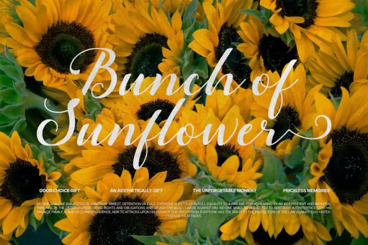 Yellow Molly Font