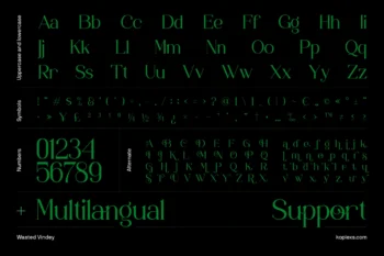 Wasted Vindey Font