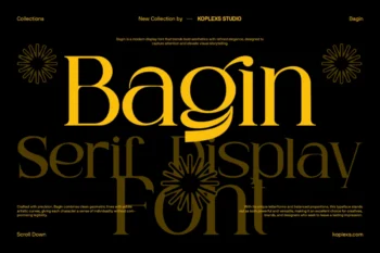 Bagin Font