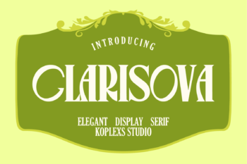 Clarisova Font | Elegant Display Serif for Branding